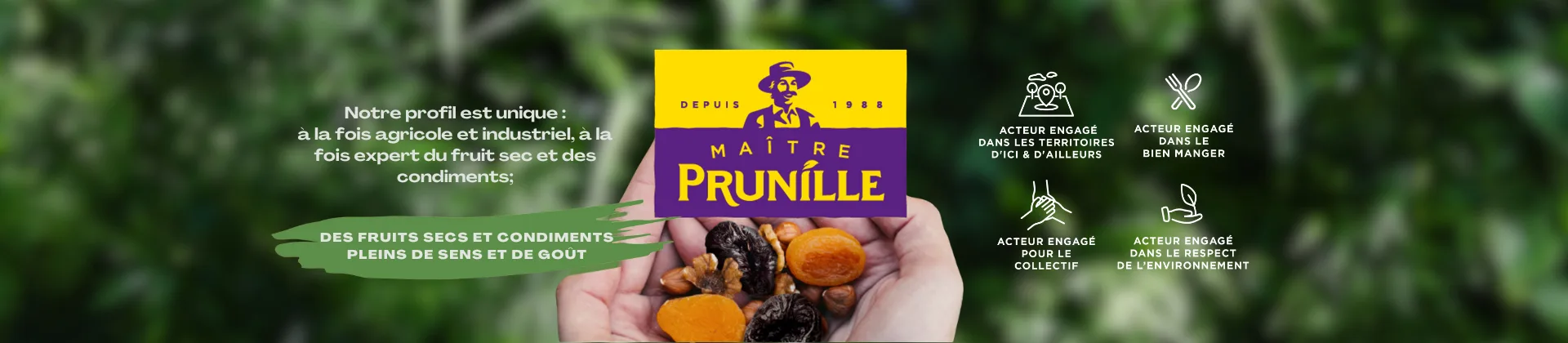MAITRE PRUNILLE