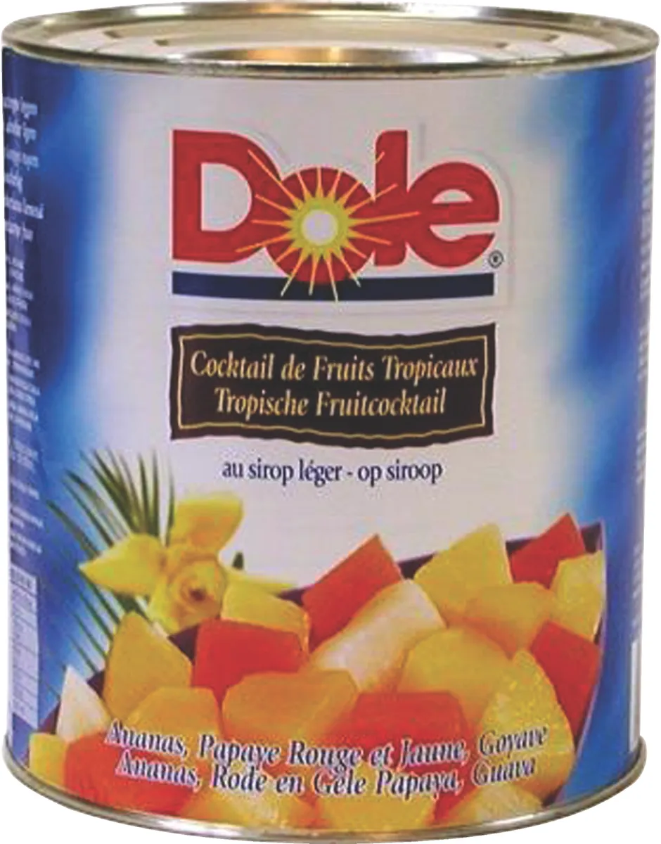 MELANGE DE FRUITS TROPICAUX AU SIROP LEGER - BTE A10 - 3,01KG