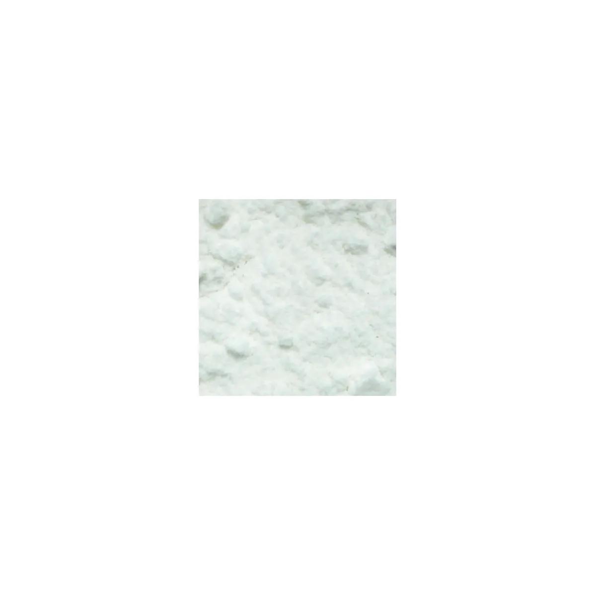 FARINE DE RIZ SP 20 KG
