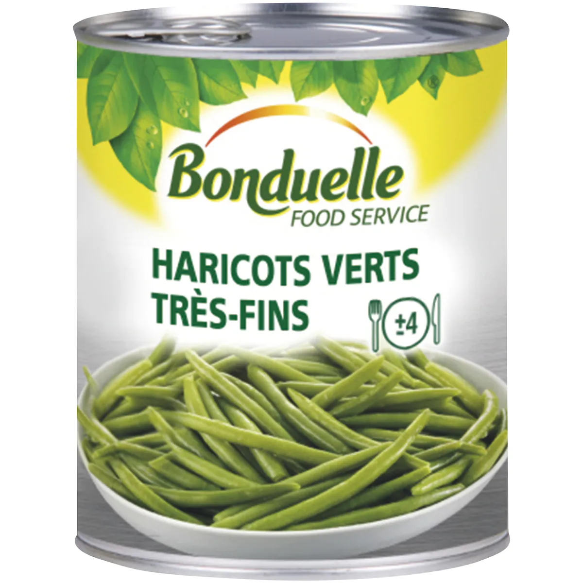 HARICOTS VERTS TRES FINS - BTE 4/4 OF - CE2 - ORIGINE FRANCE