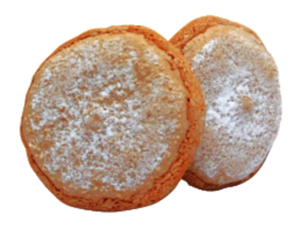 SAVOURINES-6 BARQUETTES DE 20 X10G