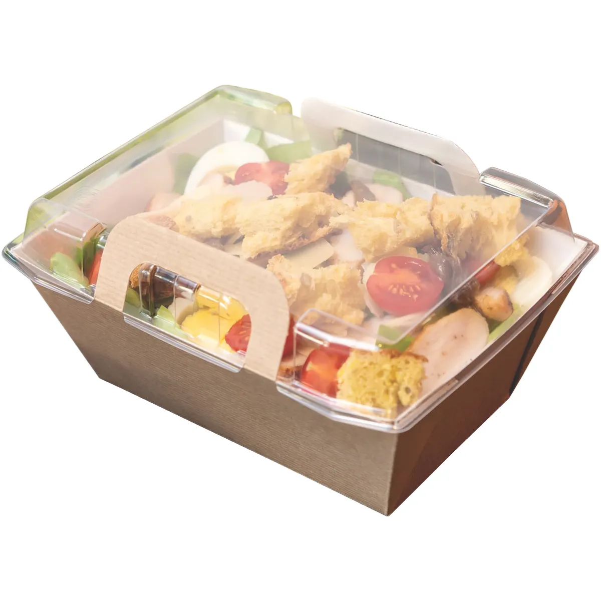 PANIER SALADE REPAS FROID VISION+  X100