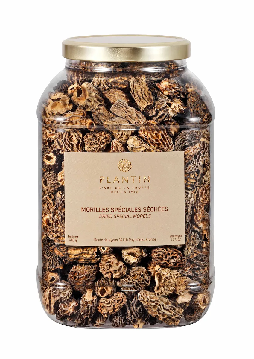 MORILLES SPECIAL CHOIX 3/5CM 100% TETES- MORCHELLA CONICA 400G
