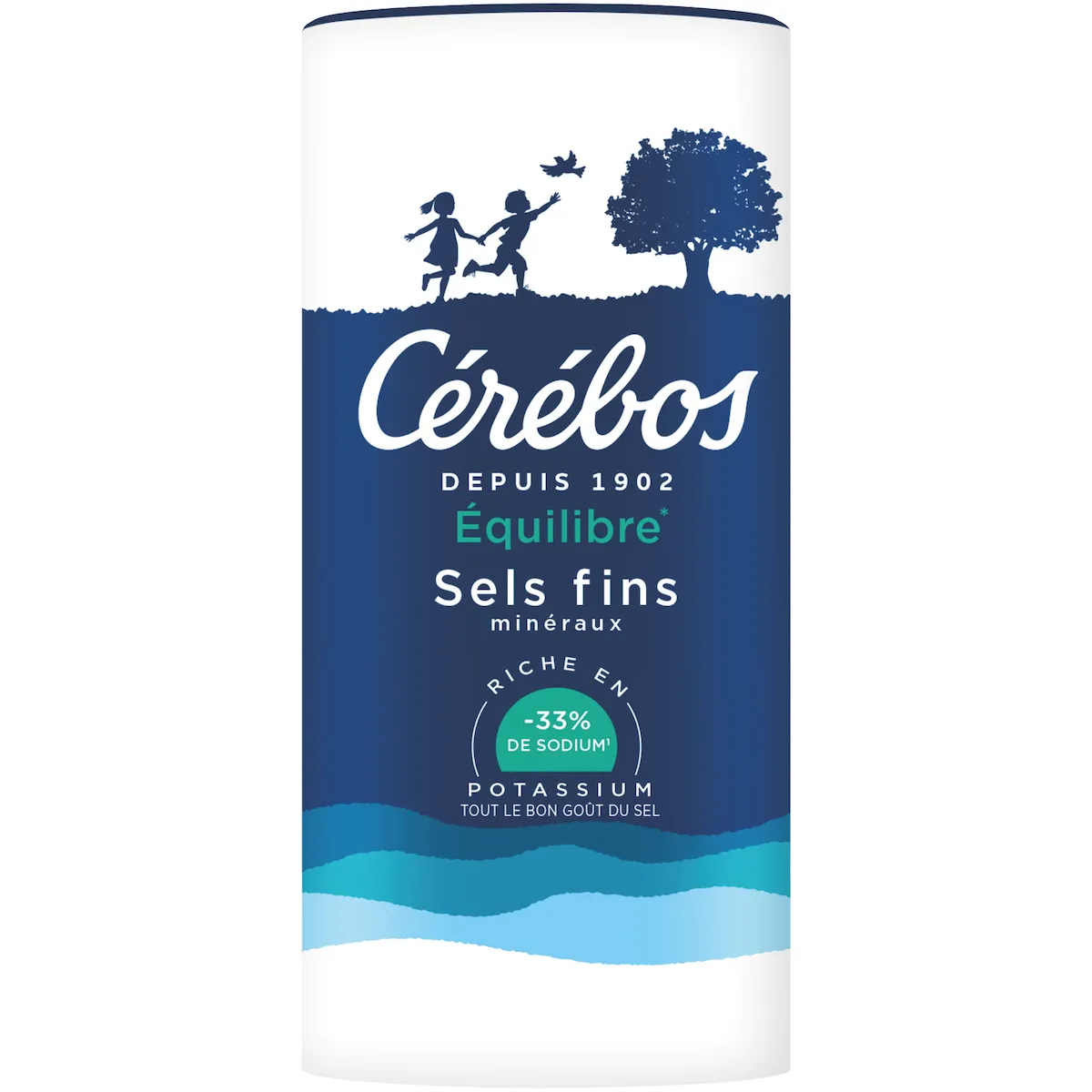 SEL FIN EQUILIBRE REDUIT EN SODIUM 33% BOITE VERSEUSE 90G