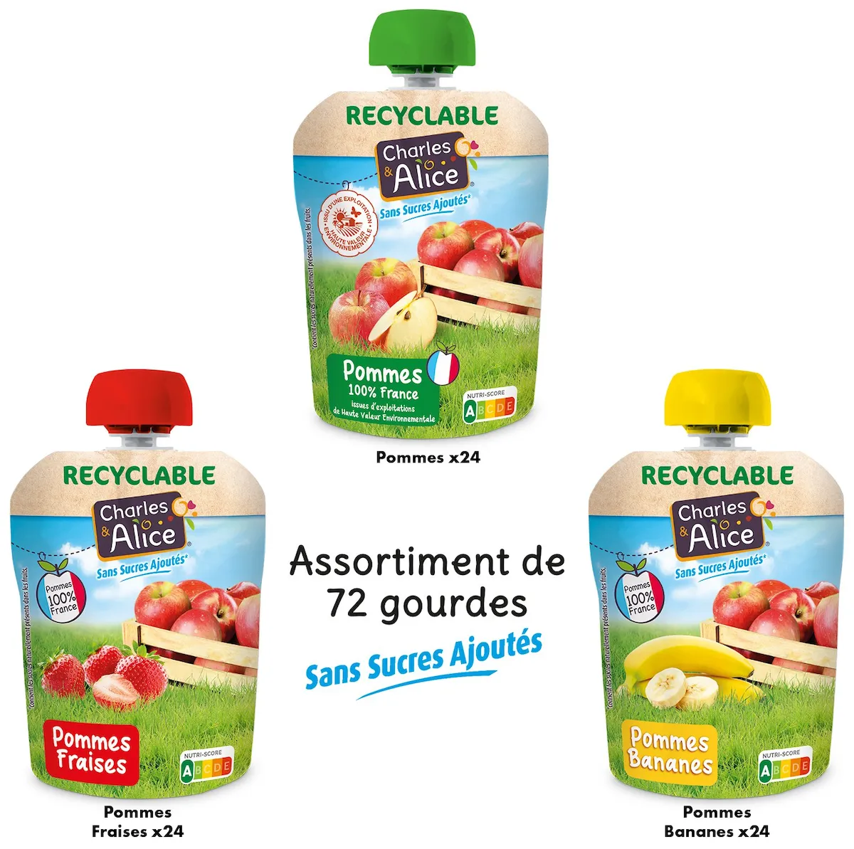 CARTON ASSORTI COMPOTE 3 PARFUMS - SSA - 100% FRANCE - 72 GOURDES DE 90 G
