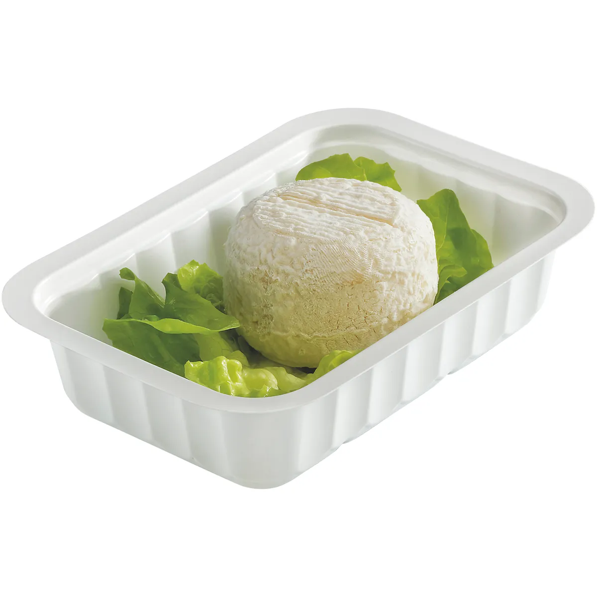BARQUETTE SCELLABLE BLANCHE 250CC PM SCT:120