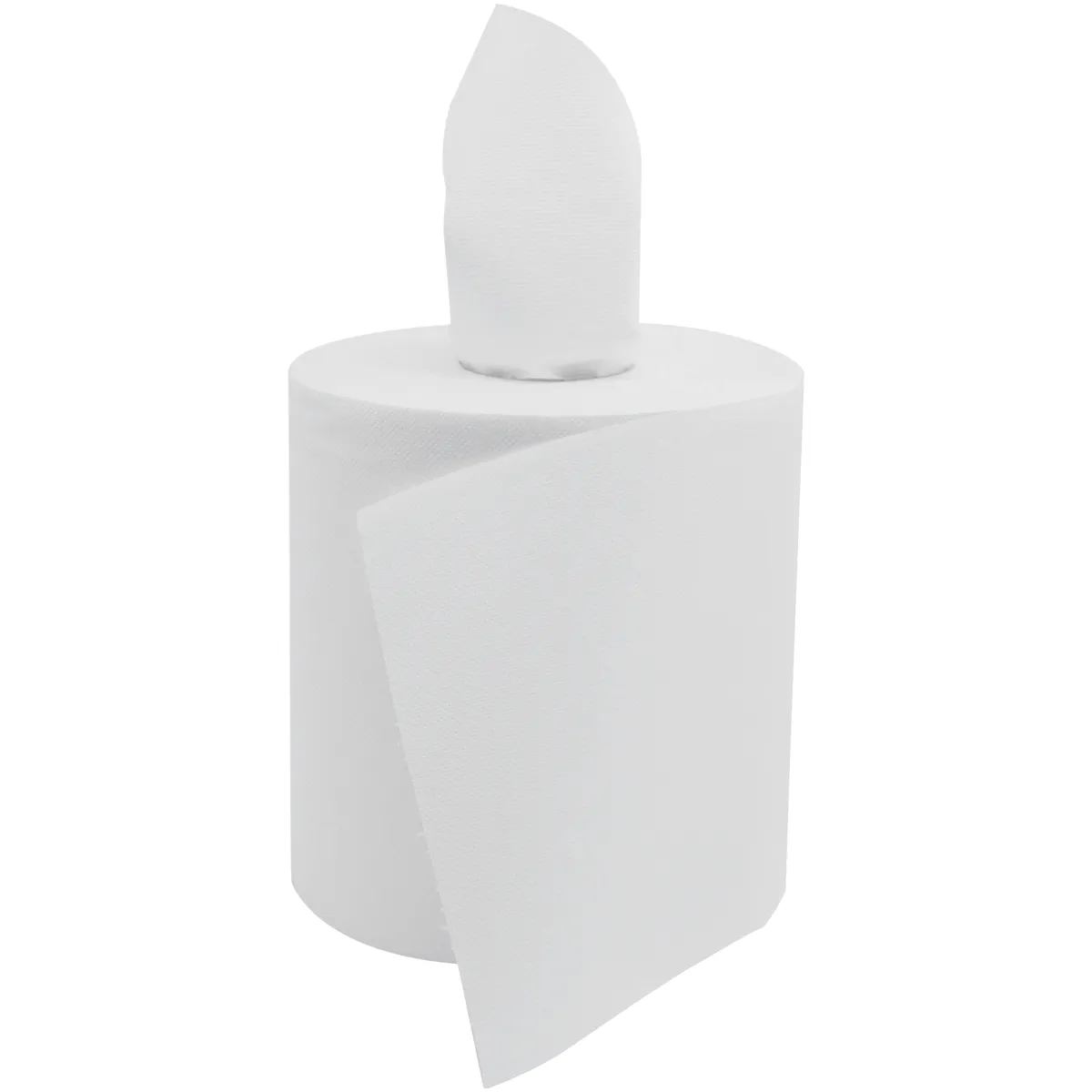 BOBINE BLANCHE  ESSUIE-MAINS 450 FORMATS 18,1 X 23 CM