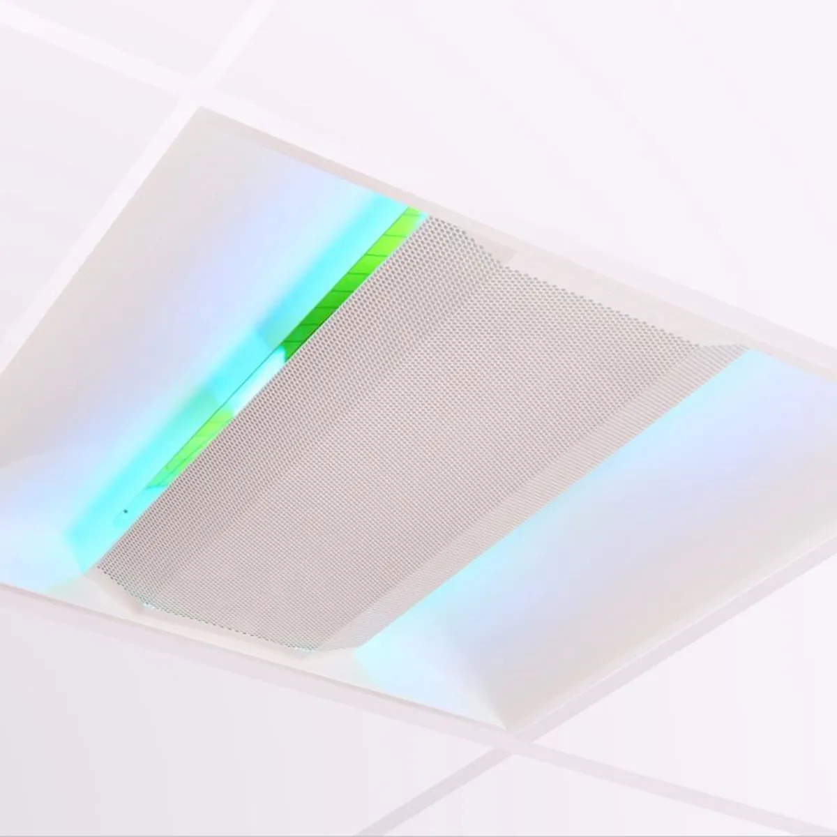 DESINSECTISEUR A GLUE LED