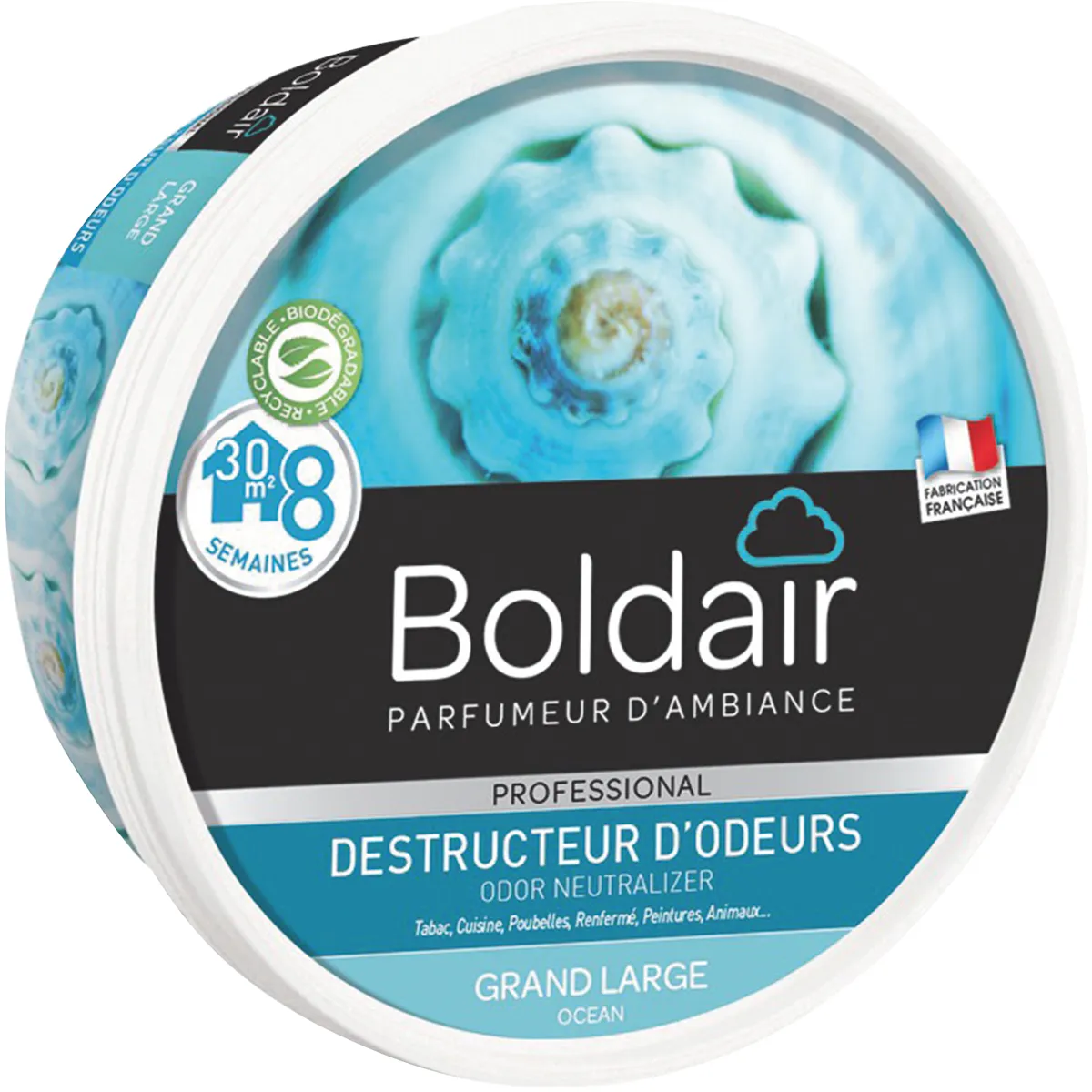 BOLDAIR GEL DESTRUCTEUR D'ODEURS GRAND LARGE UNITÉ 300 G