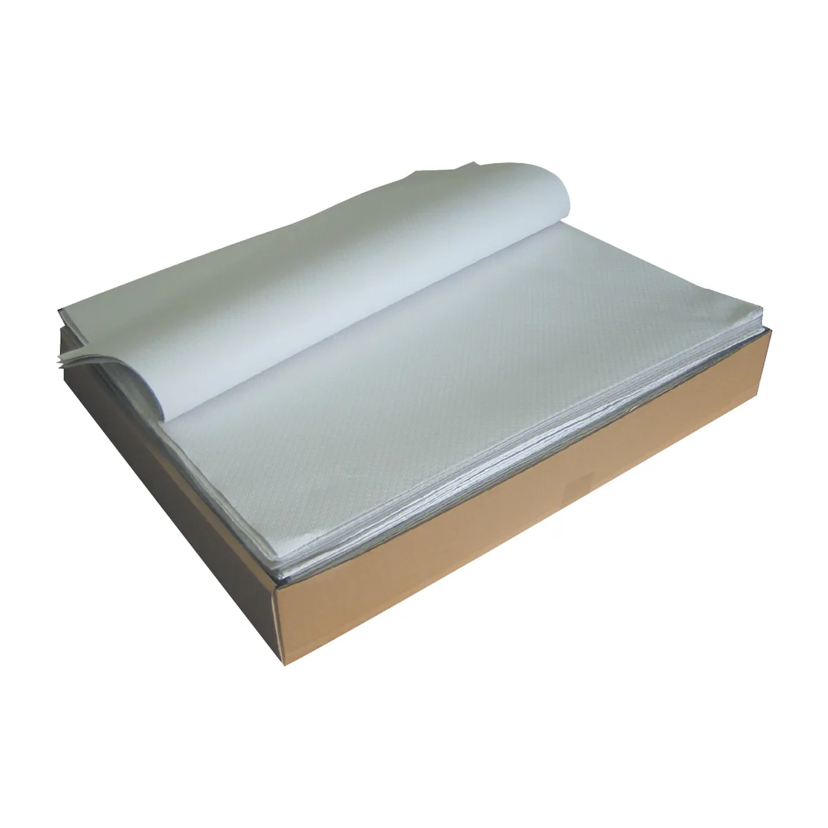 NAPPE FORMAT EXTRA BLANCHE 70X110CM-1 PLI-PACK DE 500
