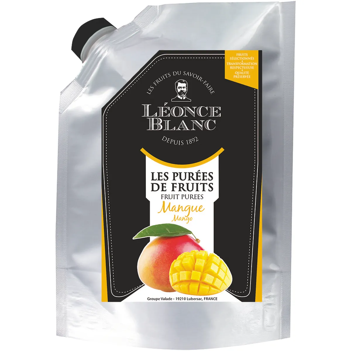 PUREE MANGUE - POCHE 1KG