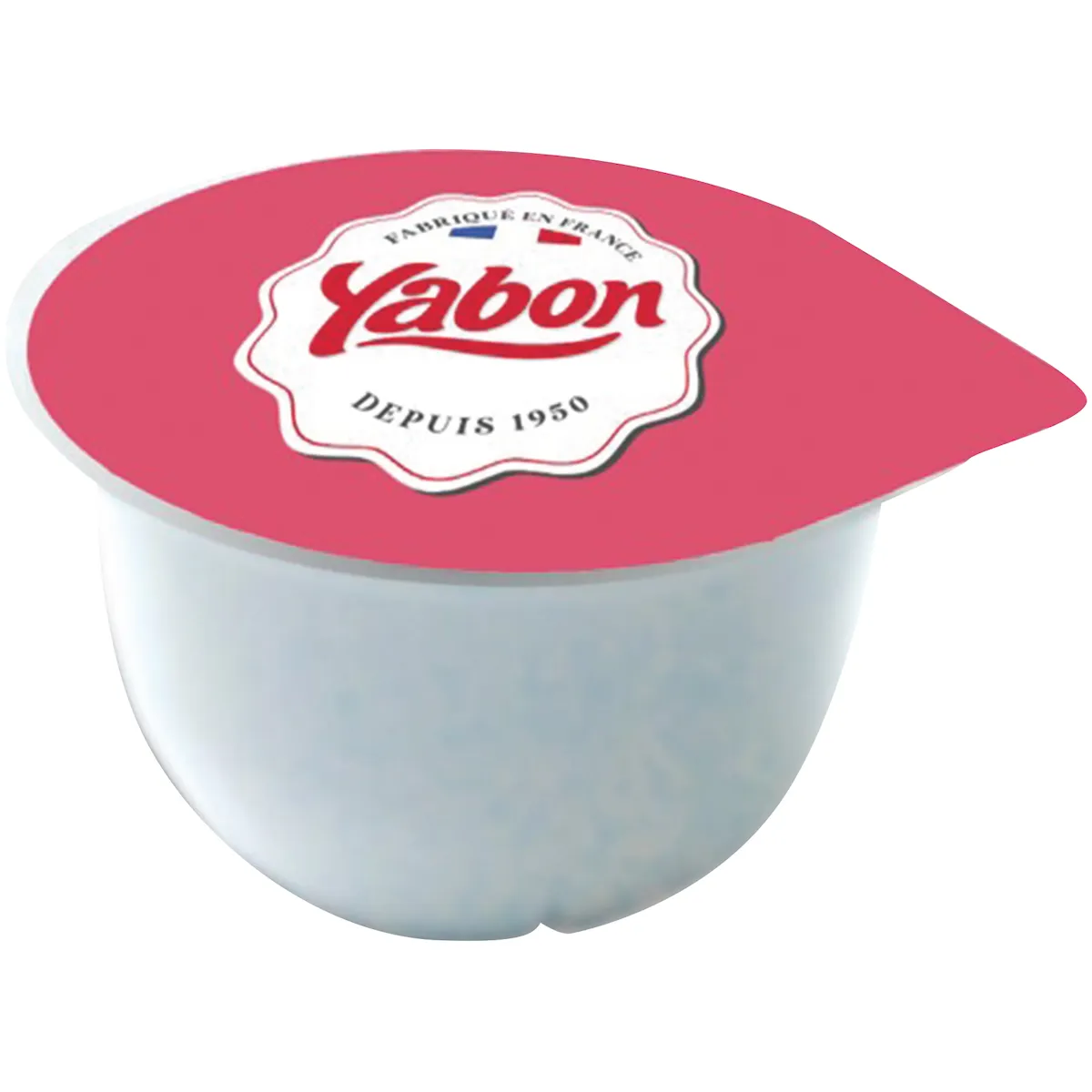 CREMES DESSERTS INDIVIDUELLES VANILLE - POT PLAST 120G