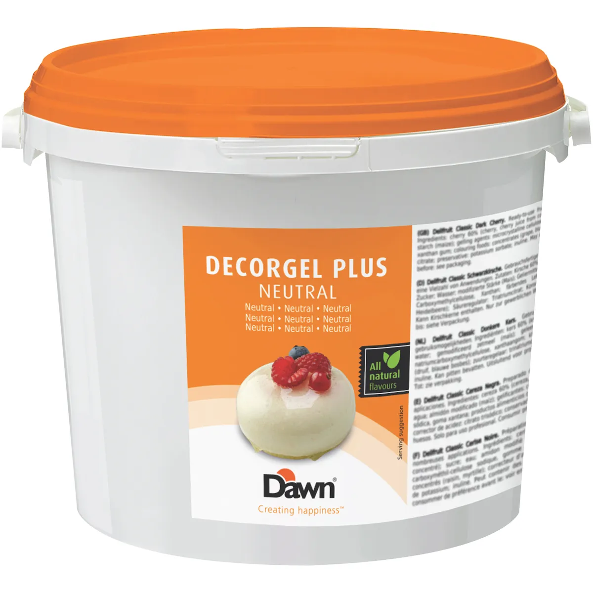 DECORGEL PLUS NEUTRE SEAU 3KG
