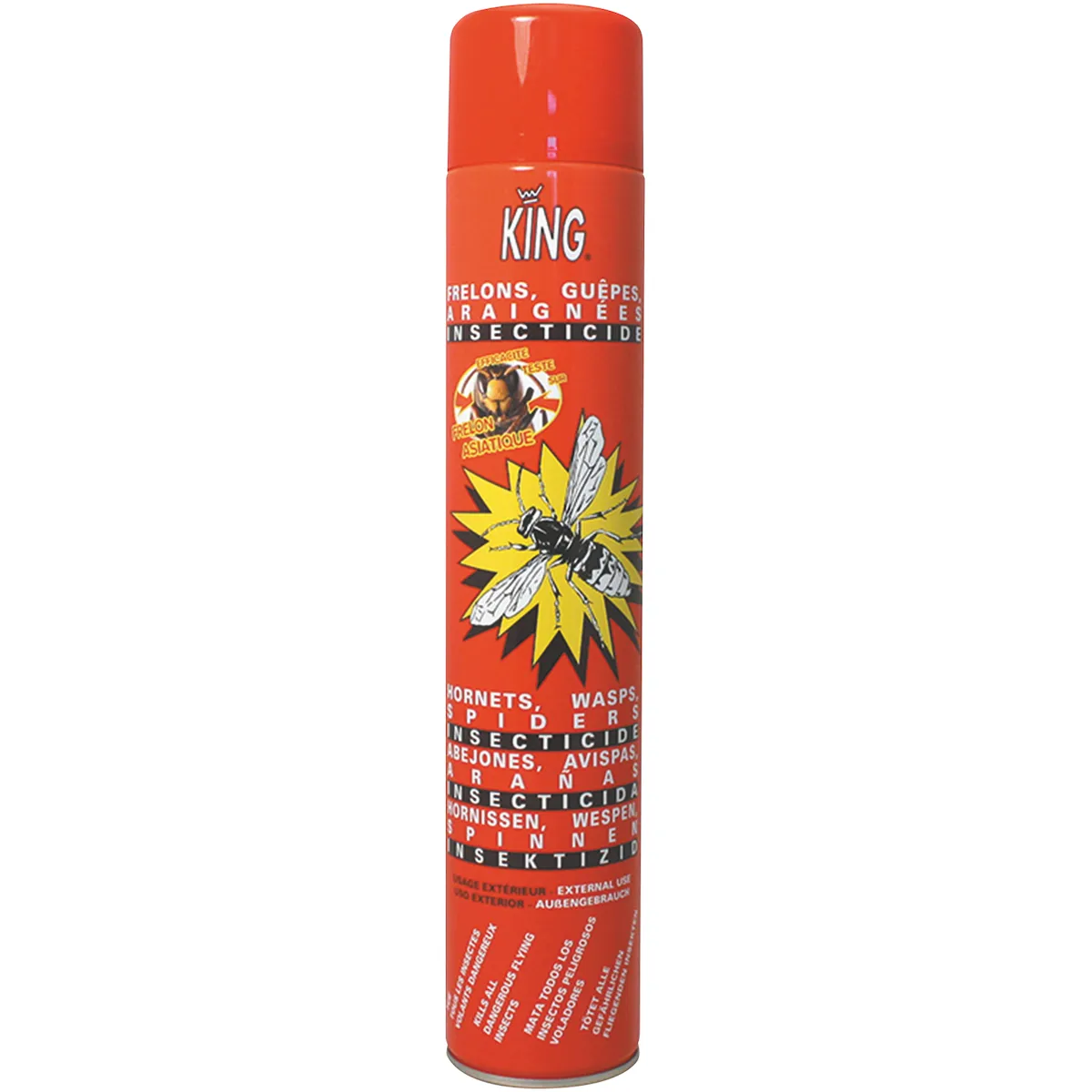 AEROSOL INSECTICIDE ANTI-FRELONS SURPUISSANT 750ML