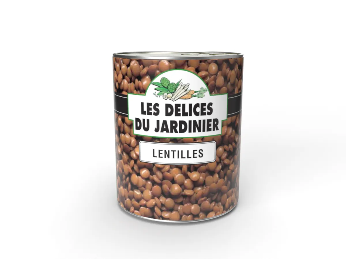 LENTILLES 4/4