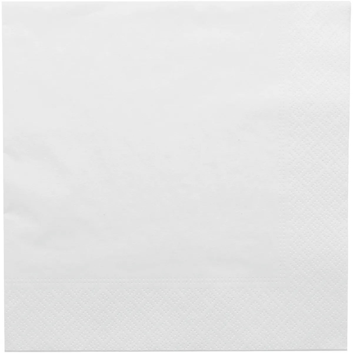 SERVIETTES ECOLABEL 2 PLIS 18 G/M2 BLANC OUATE - PAQUET DE 100
